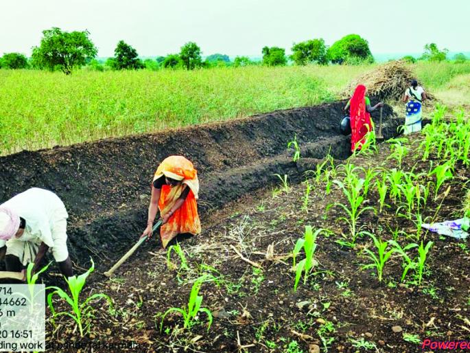 Only two and a half thousand laborers work under the Rural Employment Guarantee Scheme | ग्रामीण रोजगार हमी योजनेत फक्त अडीच हजार मजुरांच्या हाताला काम Only two and a half thousand laborers work under the Rural Employment Guarantee Scheme | ग्रामीण रोजगार हमी योजनेत फक्त अडीच हजार मजुरांच्या हाताला काम