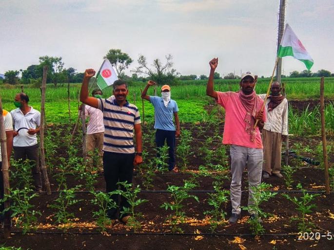 CoronaVirus Lockdown: Standing in the camp, saluting the food givers, a self-respecting activity | CoronaVirus Lockdown : शिवारात उभे राहून अन्नदात्यांना सलाम, स्वाभिमानीचा उपक्रम