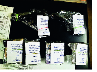 A gang of dacoits went out to see the police | दरोड्याच्या तयारीतील टोळी पोलिसांना पाहून पसार A gang of dacoits went out to see the police | दरोड्याच्या तयारीतील टोळी पोलिसांना पाहून पसार