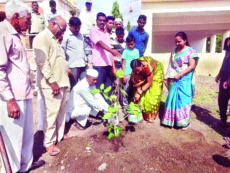 Teacher's two-decade penance for tree conservation | वृक्षसंवर्धनासाठी शिक्षकाची दोन दशकांची तपश्चर्या