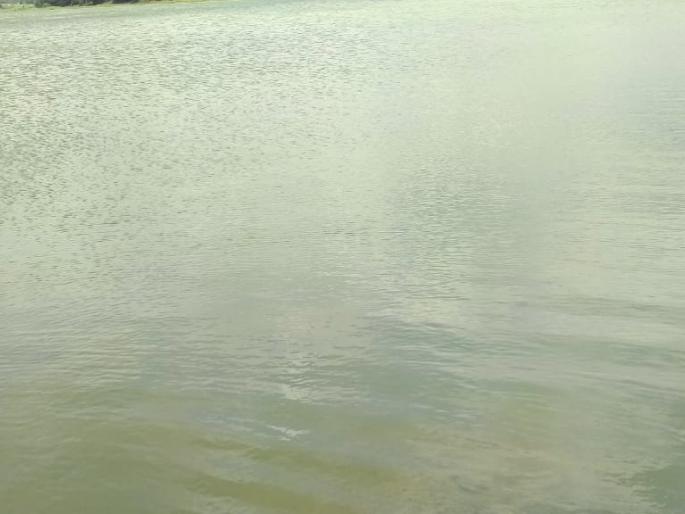 Thousands of fish fell dead in Godavari river | गोदावरी नदीत दूषित पाणीहजारो मासे पडले मृत Thousands of fish fell dead in Godavari river | गोदावरी नदीत दूषित पाणीहजारो मासे पडले मृत