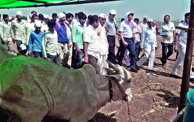 Parents Secretariat Talk to Farmers | पालक सचिवांचा शेतकऱ्यांशी संवाद Parents Secretariat Talk to Farmers | पालक सचिवांचा शेतकऱ्यांशी संवाद