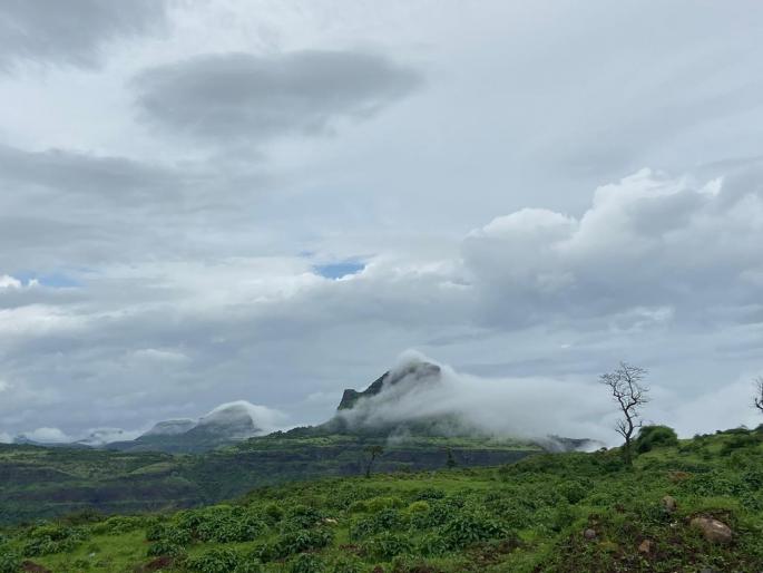 A sheet of fog over Saptashranggad | सप्तशृंगगडावर धुक्याची चादर A sheet of fog over Saptashranggad | सप्तशृंगगडावर धुक्याची चादर