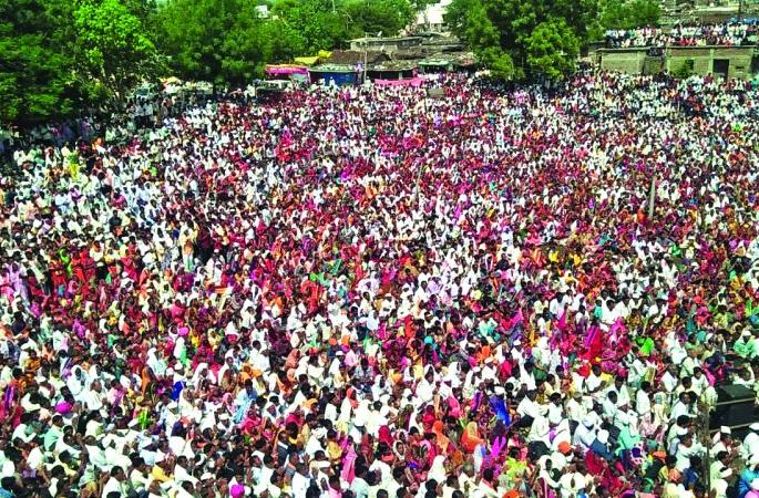 millions of devotees gathered in Poharadevi | पोहरादेवीत गुरुचरणी लाखो भाविक नतमस्तक!