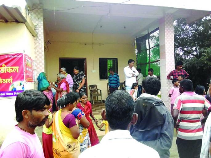 Honey Bee attack on women who go to cotton scraping | कापूस वेचणीसाठी गेलेल्या महिलांवर मधमाशांचा हल्ला Honey Bee attack on women who go to cotton scraping | कापूस वेचणीसाठी गेलेल्या महिलांवर मधमाशांचा हल्ला