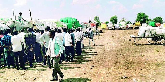 Cotton purchase of 10 thousand quintals in the Seloo market | सेलू बाजारपेठेत १० हजार क्विंटल कापसाची खरेदी Cotton purchase of 10 thousand quintals in the Seloo market | सेलू बाजारपेठेत १० हजार क्विंटल कापसाची खरेदी