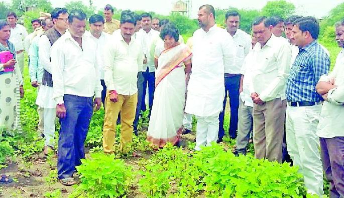 Minister of Agriculture inspects the damage done | कृषी राज्यमंत्र्यांनी केली नुकसान पाहणी
