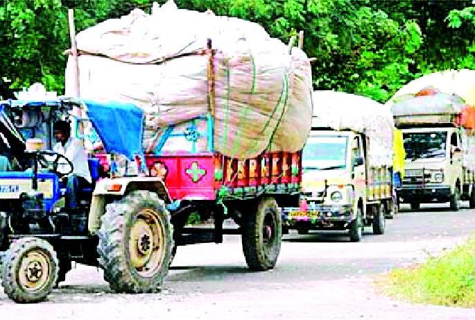 66 thousand quintals of white gold | ६६ हजार क्विंटल पांढऱ्या सोन्याची आवक