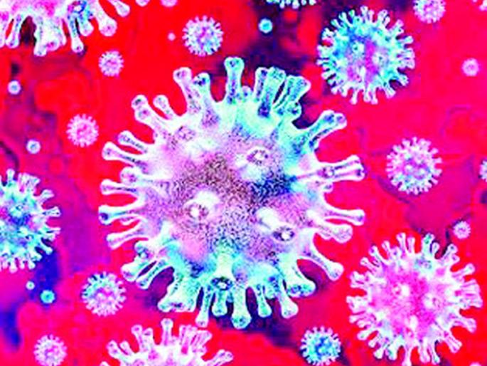 Corona virus continues to plague Pusad taluka | पुसद तालुक्यात कोरोना विषाणूचा कहर सुरुच Corona virus continues to plague Pusad taluka | पुसद तालुक्यात कोरोना विषाणूचा कहर सुरुच