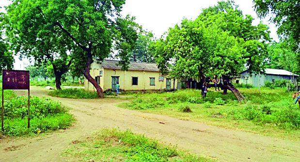 Irrigation Colony | सवना येथील सिंचन वसाहतीची दुरावस्था