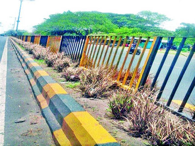 The highway became a divider | महामार्गावरील दुभाजक बनले भकास