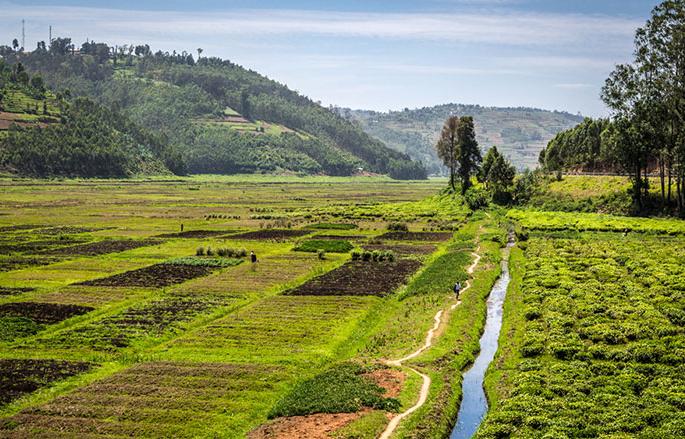  Disposal of land on the basis of counterfeit affidavit | बनावट शपथपत्राच्या आधारे जमिनीची विल्हेवाट