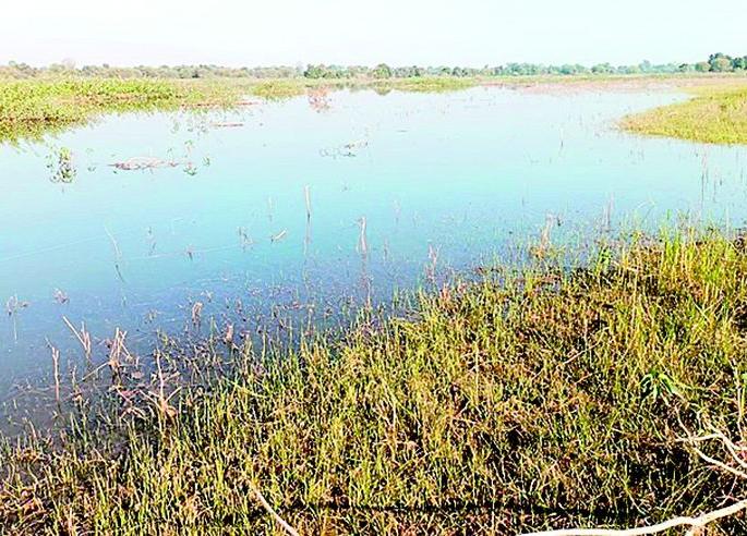 Affordability of water supply in the city even after the water of Bembal reaches Yavatmal | बेंबळाचे पाणी यवतमाळात पोहोचूनही शहरात पाणीपुरवठ्याची परवड Affordability of water supply in the city even after the water of Bembal reaches Yavatmal | बेंबळाचे पाणी यवतमाळात पोहोचूनही शहरात पाणीपुरवठ्याची परवड