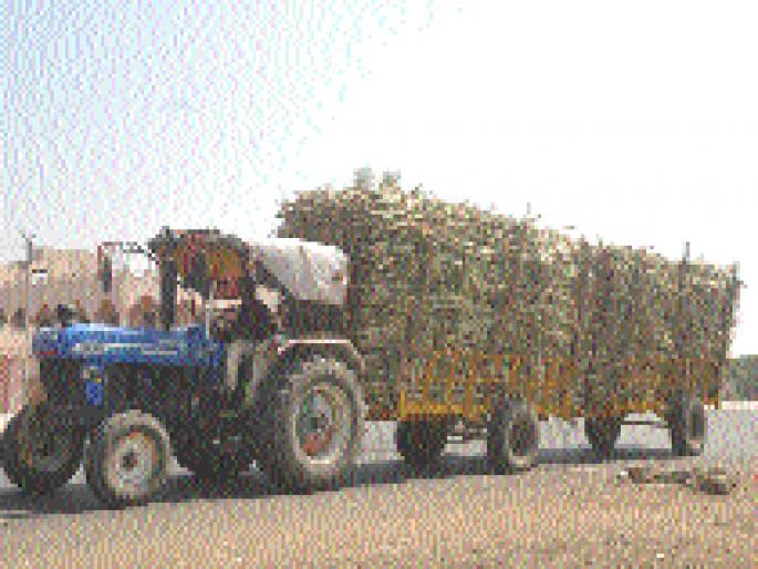 Crush sugarcane sugarcane by cutting sugarcane | गेटकेन ऊस बंद करून कार्य क्षेत्रातील उसाचे गाळप करा