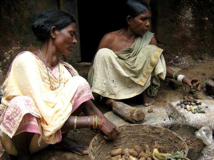 One thousand crores waiting for plans in Tribal Department | ‘ट्रायबल’मध्ये केंद्राचे एक हजार कोटी नियोजनाच्या प्रतिक्षेत One thousand crores waiting for plans in Tribal Department | ‘ट्रायबल’मध्ये केंद्राचे एक हजार कोटी नियोजनाच्या प्रतिक्षेत