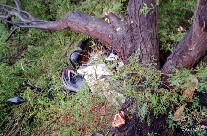 A two-wheeler rider was injured when a tree fell due to a lightning strike | वीज कोसळल्याने झाड पडून दुचाकीस्वार जखमी