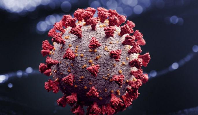 Corona peak in Nagpur district in two and a half months | नागपूर जिल्ह्यात कोरोनाचा अडीच महिन्यातील उच्चांक Corona peak in Nagpur district in two and a half months | नागपूर जिल्ह्यात कोरोनाचा अडीच महिन्यातील उच्चांक