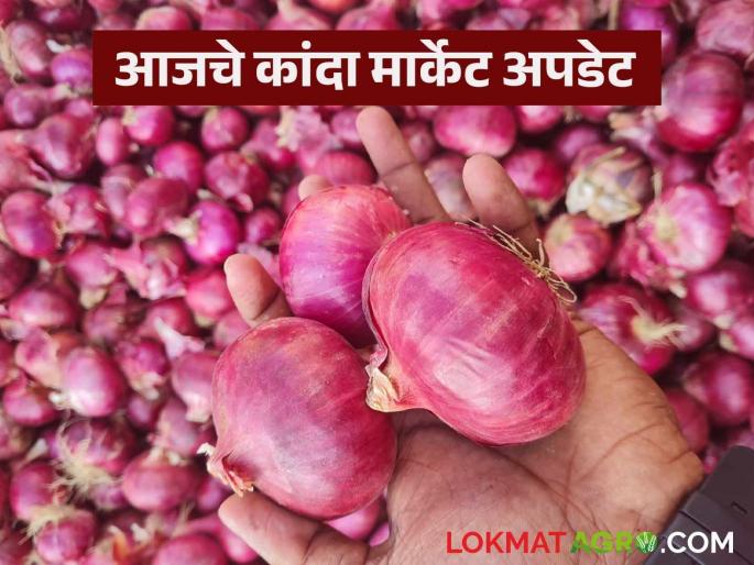 Latest News Kanda Bajarbhav Price improvement in lasalgaon and pimpalgaon kanda market in Nashik district | Kanda Market : नाशिक जिल्ह्यातील 'या' कांदा मार्केटमध्ये दरात सुधारणा, वाचा आजचे बाजारभाव