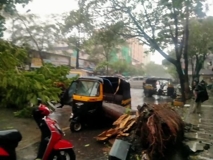 Tauktae Cyclone In Mira Bhayandar More than 80 trees were uprooted | Tauktae Cyclone : मीरा-भाईंदरमध्ये तौत्के चक्रीवादळाचा कहर; ८० पेक्षा जास्त झाडे उन्मळून पडली, घरांचे उडाले पत्रे  Tauktae Cyclone In Mira Bhayandar More than 80 trees were uprooted | Tauktae Cyclone : मीरा-भाईंदरमध्ये तौत्के चक्रीवादळाचा कहर; ८० पेक्षा जास्त झाडे उन्मळून पडली, घरांचे उडाले पत्रे