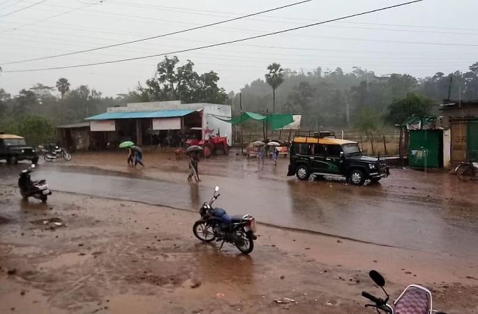 heavy rain in Gadchiroli district | गडचिरोली जिल्ह्याला अवकाळी पावसाने झोडपले