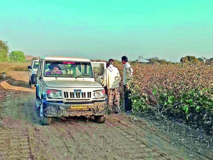 WCL officials cut the cotton crop for road in Nagpur district | नागपूर जिल्ह्यात वेकोली अधिकाऱ्यांनी कापसाचे उभे पीक कापून बनवला रस्ता WCL officials cut the cotton crop for road in Nagpur district | नागपूर जिल्ह्यात वेकोली अधिकाऱ्यांनी कापसाचे उभे पीक कापून बनवला रस्ता