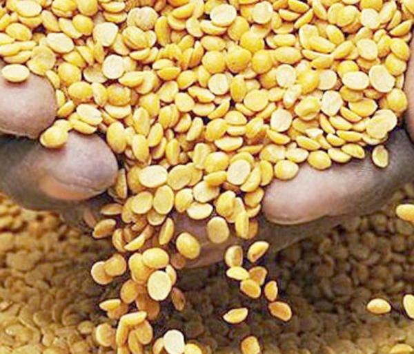 At the price of toor dal is on peak | तुरीचे दर पडलेलेच अन् तूरडाळ उसळली At the price of toor dal is on peak | तुरीचे दर पडलेलेच अन् तूरडाळ उसळली