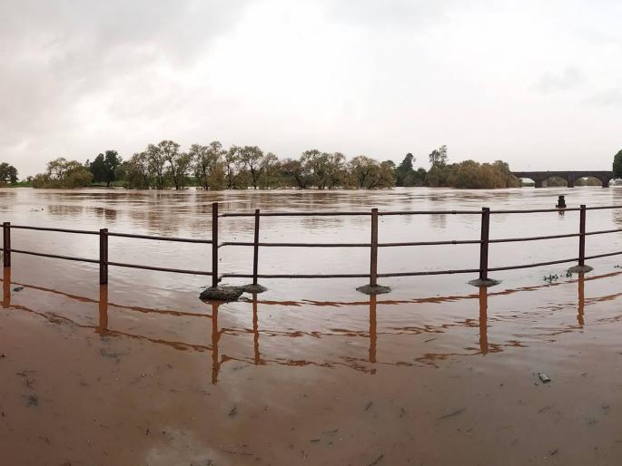 Light showers with cloudy weather in Kolhapur | कोल्हापूरात ढगाळ वातावरणासह हलक्या सरी Light showers with cloudy weather in Kolhapur | कोल्हापूरात ढगाळ वातावरणासह हलक्या सरी