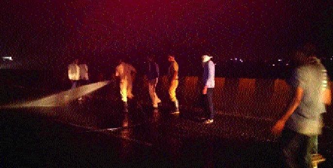  50 motorcycle collapses due to insects on Pune-Bangalore highway | पुणे-बंगलोर महामार्गावर कीटकांमुळे घसरल्या ५० मोटारसायकली
