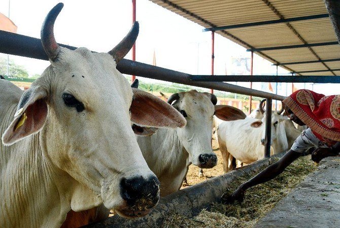 Continue to the veterinary clinic; Nagpur municipal appeal | पशुवैद्यकीय दवाखाने सुरू ठेवा; नागपूर मनपाचे आवाहन Continue to the veterinary clinic; Nagpur municipal appeal | पशुवैद्यकीय दवाखाने सुरू ठेवा; नागपूर मनपाचे आवाहन