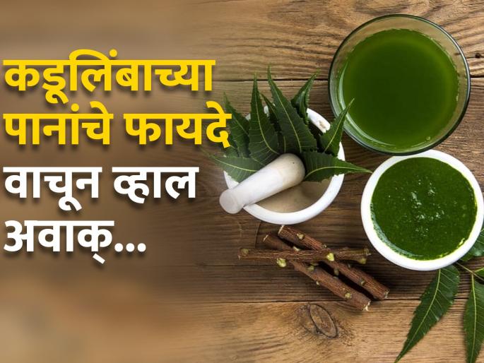 Ayurveda Dr told health benefits of Neem leaves and uses | पानांपासून ते सालीपर्यंत, 'या' झाडाचे होतात अनेक फायदे, आयुर्वेदिक डॉक्टरांनी सांगितले फायदे Ayurveda Dr told health benefits of Neem leaves and uses | पानांपासून ते सालीपर्यंत, 'या' झाडाचे होतात अनेक फायदे, आयुर्वेदिक डॉक्टरांनी सांगितले फायदे