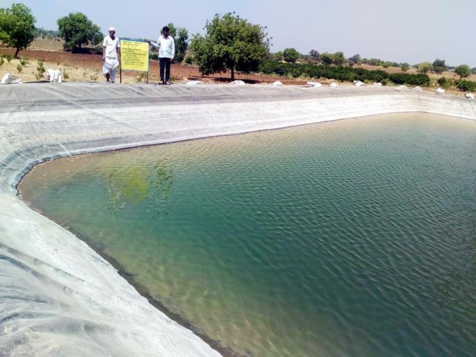 Farm scheme closed to Magel, a boon to farmers in the state | राज्यातील शेतकऱ्यांना वरदान ठरलेली मागेल त्याला शेततळे योजना बंद Farm scheme closed to Magel, a boon to farmers in the state | राज्यातील शेतकऱ्यांना वरदान ठरलेली मागेल त्याला शेततळे योजना बंद