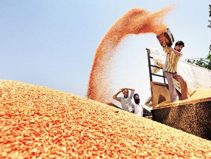 Agriculture law needs to be challenged by APMC | शेती कायद्याला एपीएमसीचे आव्हान देणे गरजेचे Agriculture law needs to be challenged by APMC | शेती कायद्याला एपीएमसीचे आव्हान देणे गरजेचे
