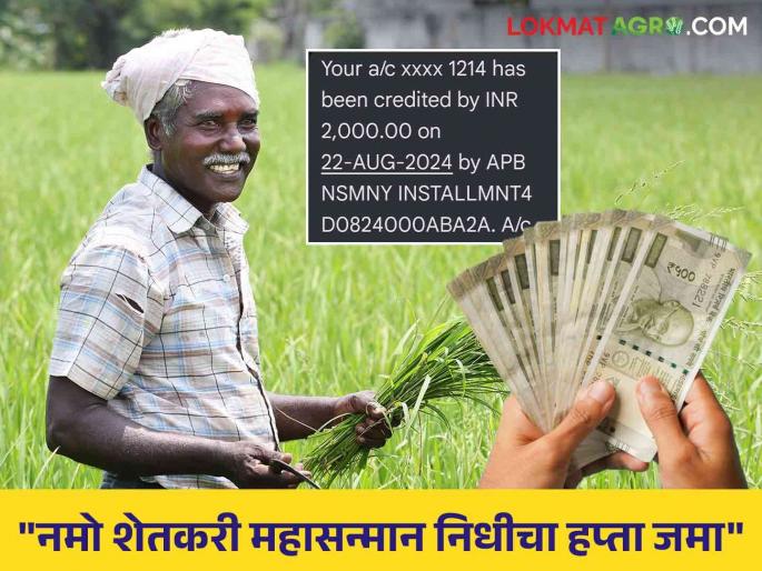 PM Kisan Yojana: Deposit of 2 thousand rupees of 'Namo Shetkari Mahasanman Nidhi' in farmers' accounts | PM Kisan Yojana : 'नमो शेतकरी महासन्मान निधी'चे २ हजार रूपये शेतकऱ्यांच्या खात्यात जमा PM Kisan Yojana: Deposit of 2 thousand rupees of 'Namo Shetkari Mahasanman Nidhi' in farmers' accounts | PM Kisan Yojana : 'नमो शेतकरी महासन्मान निधी'चे २ हजार रूपये शेतकऱ्यांच्या खात्यात जमा