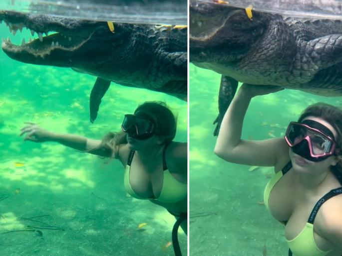 Bikini girl swims in the water with a dangerous crocodile video goes viral | बिकीनी गर्लने मगरीसोबत पाण्यात केलं स्वीमिंग, बघून लोक झाले अवाक्.... Bikini girl swims in the water with a dangerous crocodile video goes viral | बिकीनी गर्लने मगरीसोबत पाण्यात केलं स्वीमिंग, बघून लोक झाले अवाक्....