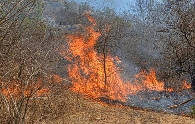 Stop the degradation of nature | निर्सगाचा होणारा ऱ्हास थांबवा