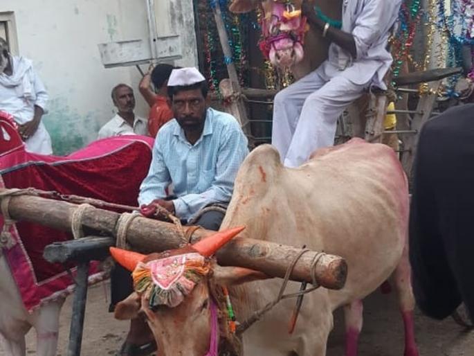 Breaking the 150 year old tradition of Pola Utsav! | पोळा उत्सवाची दीडशे वर्षांची परंपरा खंडित! Breaking the 150 year old tradition of Pola Utsav! | पोळा उत्सवाची दीडशे वर्षांची परंपरा खंडित!