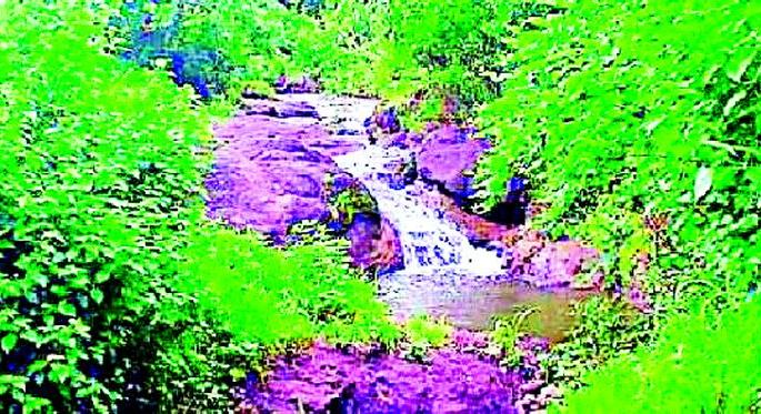 Villagers in the Mahendra-Pandhari forest area oppose the sanctuary | महेंद्री-पंढरी जंगल क्षेत्रातील ग्रामस्थांचा अभयारण्याला विरोध