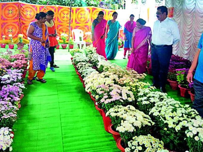Best response to the Shevanti flower show | शेवंती पुष्पप्रदर्शनीला उत्कृष्ट प्रतिसाद