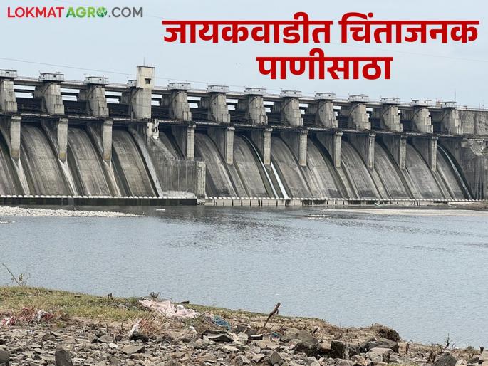 Jayakwadi dam storage is alarming, see how much water is left | जायकवाडी धरणसाठा चिंताजनक, पहा किती उरलंय पाणी