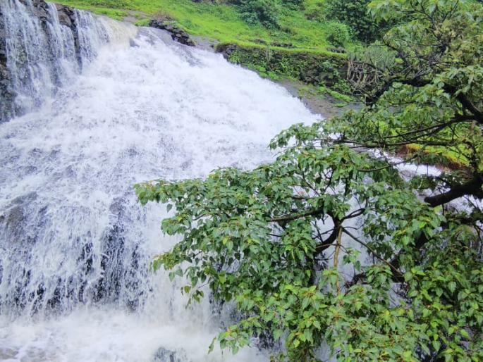 Bhandara 75 percent filled | भंडारदरा ७५ टक्के भरले Bhandara 75 percent filled | भंडारदरा ७५ टक्के भरले