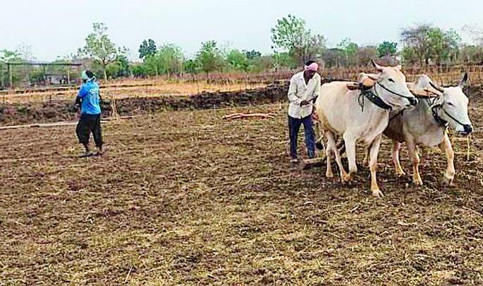Sowing can be avoided due to rain | पावसाअभावी पेरण्या खोळंबल्या Sowing can be avoided due to rain | पावसाअभावी पेरण्या खोळंबल्या