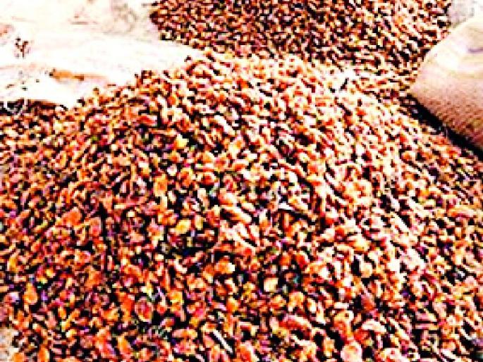 Mohophula's thieves import | मोहफुलाची चोरटी आयात Mohophula's thieves import | मोहफुलाची चोरटी आयात