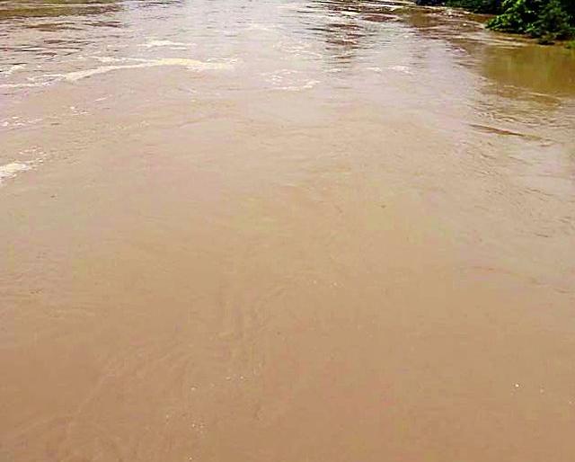 The water of the pool water under water | धानाचे पऱ्हे पाण्याखाली The water of the pool water under water | धानाचे पऱ्हे पाण्याखाली