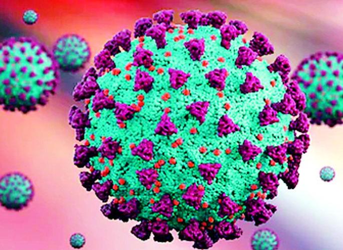 12% corona positive compared to the test | तपासणीच्या तुलनेत १२ टक्के कोरोना पाॅझिटिव्ह