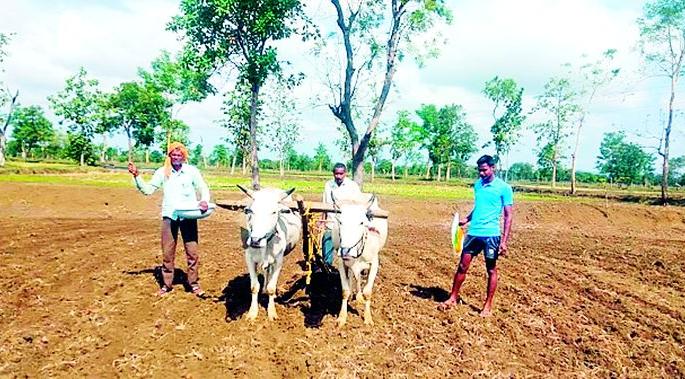 27,000 hectare increase in paddy field this year | धानक्षेत्रात यंदा 27 हजार हेक्टर वाढ 27,000 hectare increase in paddy field this year | धानक्षेत्रात यंदा 27 हजार हेक्टर वाढ