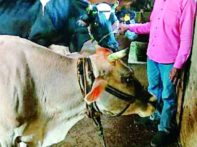 Kharbi's smallholder farmer became an entrepreneur | खरबीचा अल्पभूधारक शेतकरी बनला उद्योजक