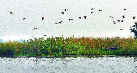 Proposal for the development of Bharatpur | ‘भरतपूर’च्या विकासासाठी प्रस्ताव Proposal for the development of Bharatpur | ‘भरतपूर’च्या विकासासाठी प्रस्ताव