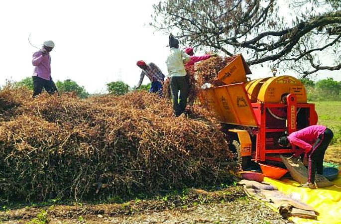 Even with the help of loss, the cost of sowing does not recover | नुकसानाच्या मदतीत पेरणीचाही खर्च निघेना! Even with the help of loss, the cost of sowing does not recover | नुकसानाच्या मदतीत पेरणीचाही खर्च निघेना!