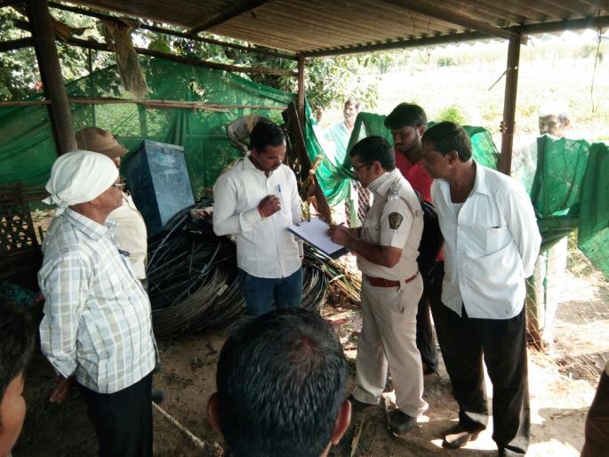 Three goats ferry from the boat | बीबट्याकडून तीन बकऱ्या फस्त Three goats ferry from the boat | बीबट्याकडून तीन बकऱ्या फस्त