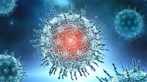 51 affected in Yeola | येवल्यात ५१ बाधित 51 affected in Yeola | येवल्यात ५१ बाधित